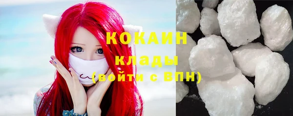 стафф Алексин
