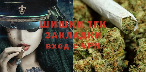 стафф Алексин