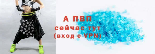 стафф Алексин