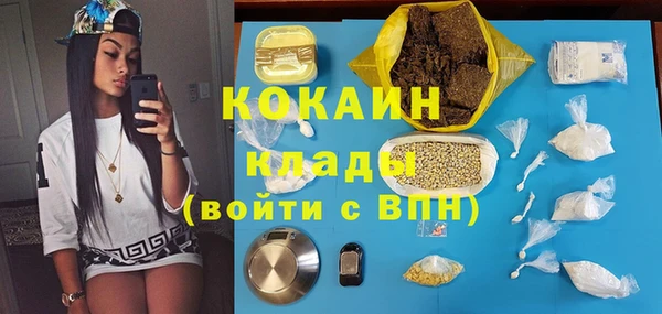 стафф Алексин