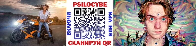 Псилоцибиновые грибы мицелий Сураж